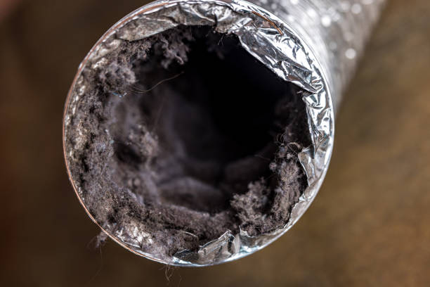 Best Professional Duct Cleaning Services  in Farragut, TN